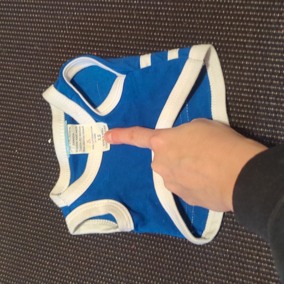 Italia XS dog shirt - Picture 2 of 3